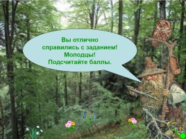 Интерактивная игра о растениях и животных лесов России «Чудесный лес», слайд 51