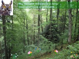 Интерактивная игра о растениях и животных лесов России «Чудесный лес», слайд 53