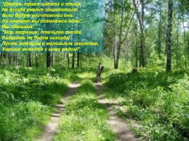 Интерактивная игра о растениях и животных лесов России «Чудесный лес», слайд 54