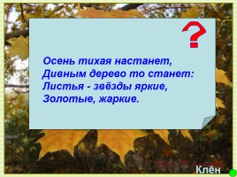 Интерактивная игра о растениях и животных лесов России «Чудесный лес», слайд 9