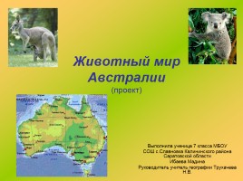 Проект «Животный мир Австралии», слайд 1