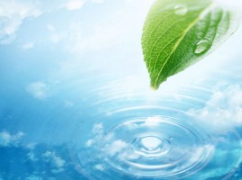 Значение воды в жизнедеятельности растений, слайд 20