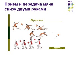 Раздел программы «Волейбол», слайд 12