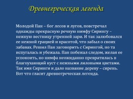 Сочинение-описание по картине П.П. Кончаловского «Сирень в корзине», слайд 14