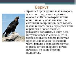 Красная книга Нижегородской области, слайд 15