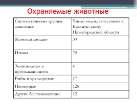 Красная книга Нижегородской области, слайд 4