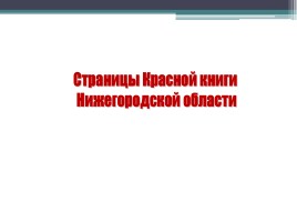 Красная книга Нижегородской области, слайд 5