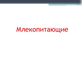 Красная книга Нижегородской области, слайд 6
