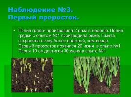 Эффективность выращивания лука различным способом, слайд 16