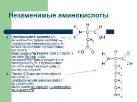 Урок химии в 10-м классе по теме «Аминокислоты», слайд 8