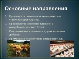 Химия и сельское хозяйство, слайд 12