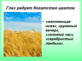 Анализ стихотворения Михаила Юрьевича Лермонтова «Когда волнуется желтеющая нива», слайд 13