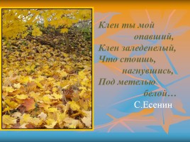 С.А. Есенин и его творчество, слайд 10