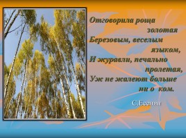С.А. Есенин и его творчество, слайд 8