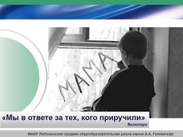 Методы и технологии социальной работы с детьми, лишенными родительского попечения, слайд 19