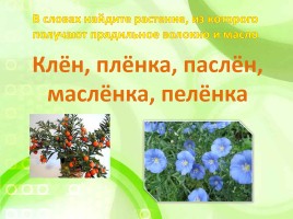 Внеклассное мероприятие по русскому языку «В мире грамматики», слайд 12
