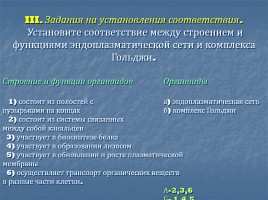 Особенности организации клеток живых организмов, слайд 24