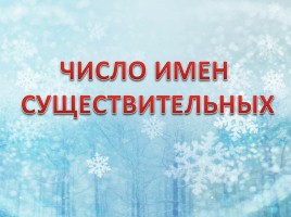 Русский язык 3 класс «Зима», слайд 12