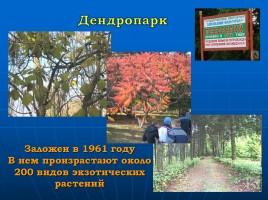 Наш край - Белгородская область, слайд 11