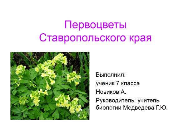 Первоцветы Ставропольского края
