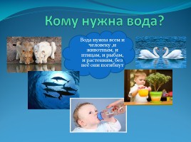 Для детей среднего дошкольного возраста «Нужная и важная вода», слайд 4