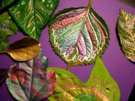 Рисуем на осенних листьях, слайд 10