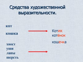 Сочинение с элементами описания на основе личных впечатлений «Мой домашний любимец», слайд 15