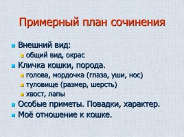 Сочинение с элементами описания на основе личных впечатлений «Мой домашний любимец», слайд 26