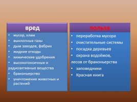 Подготовка к сочинению в публицистическом стиле «Люби и охраняй природу!», слайд 10