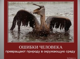 Подготовка к сочинению в публицистическом стиле «Люби и охраняй природу!», слайд 9