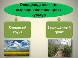 Растениеводство в нашем крае - Возникновение земледелия и скотоводства, слайд 8