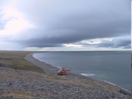 Зона Арктических пустынь, слайд 13