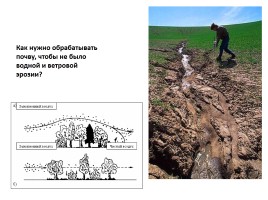 Исследовательская работа «Почва», слайд 8