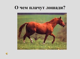 Урок-размышление «О чём плачут лошади», слайд 22