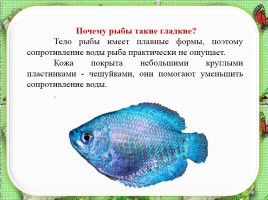 Исследовательская работа по теме: «Почему аквариумные рыбки плавают», слайд 10