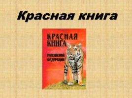 Красная книга Подмосковья, слайд 1
