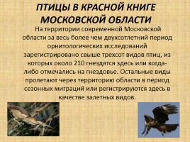 Проект красная книга подмосковья