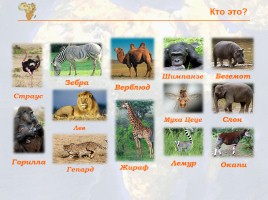Путешествие с Гумилевым по Африке, слайд 19