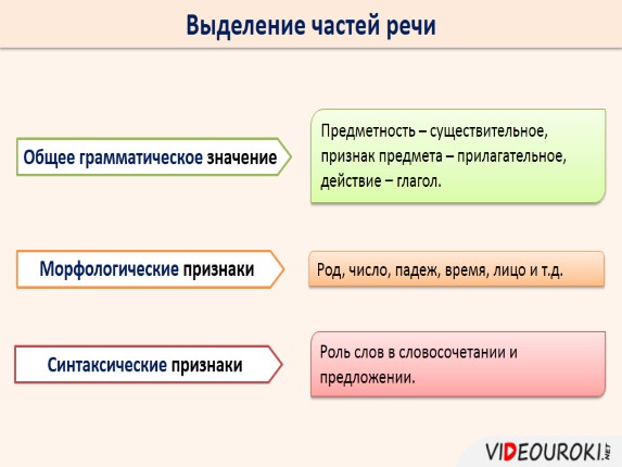 Морфология урок 6 класс презентация