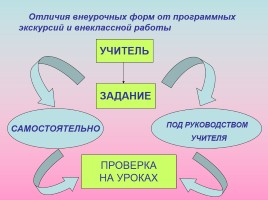 Внеурочные формы обучения естествознанию, слайд 3