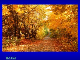 Своя игра «Осенний бал», слайд 43