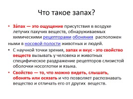 Урок химии в 10 классе «Сложные эфиры», слайд 24