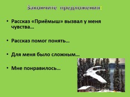 Д.Н. Мамин - Сибиряк «Приёмыш», слайд 24
