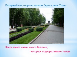 Мой родной город Томск, слайд 4
