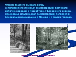 Лев Николаевич Толстой, слайд 16