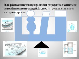 Давление твердых тел, жидкостей и газов, слайд 8