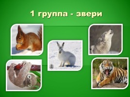 Какие бывают животные?, слайд 4