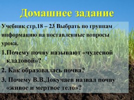 Урок окружающего мира в 3 классе «Почвы», слайд 18