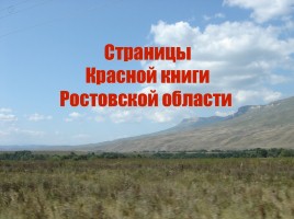 Красная книга Ростовской области - Животные, слайд 12