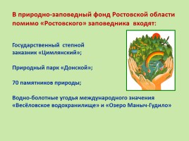 Красная книга Ростовской области - Животные, слайд 27